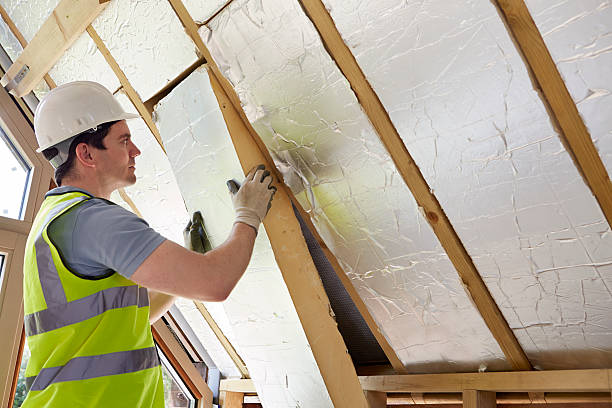 Best Insulation Maintenance and Repair in Sunnyvale, TX