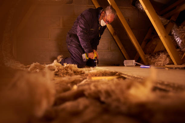 Best Insulation Maintenance and Repair in Sunnyvale, TX